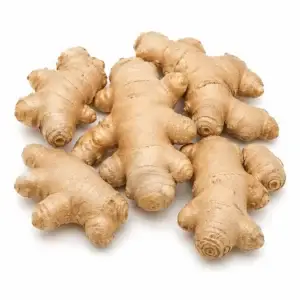 Ginger