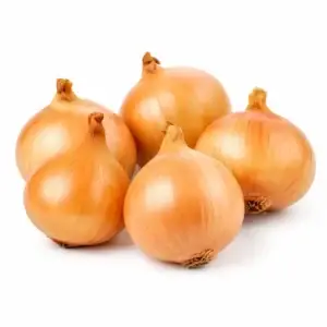 Onion – White
