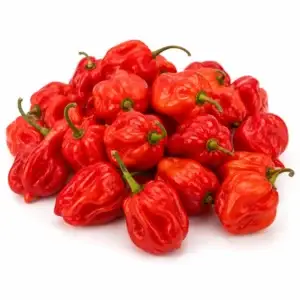 Pepper Habanero