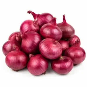 Onion – White