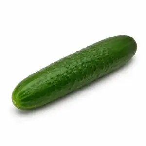 Cucumber