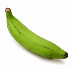 Plantain