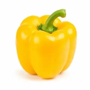 Pepper – Bell