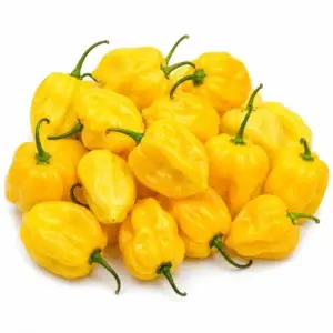 Pepper Habanero